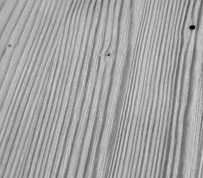 Fladen, efter at den er blevet slebet med rustilonbørstens plastbørster.